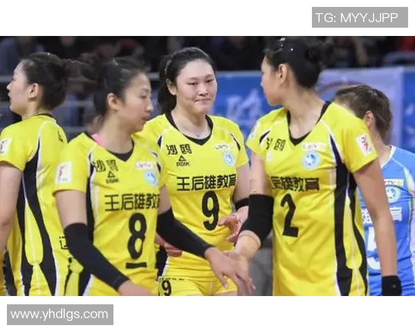 广州排球队全运会战术分析与表现评估探讨