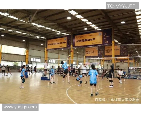 深圳排球队个人能力分析与表现评估研究报告