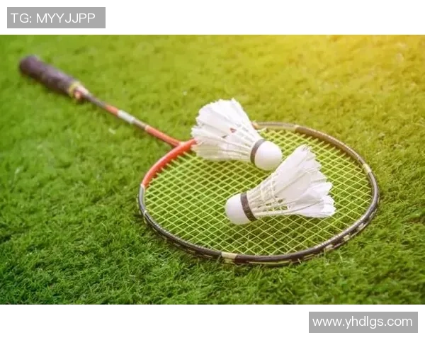 独家解析：杭州羽毛球队灵活性对比与训练策略的深度探讨